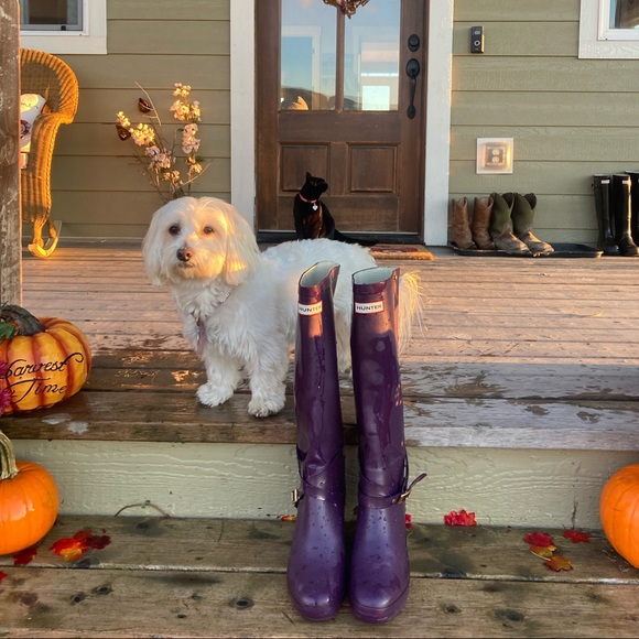 Hunter Rain boots - Picture 1 of 6